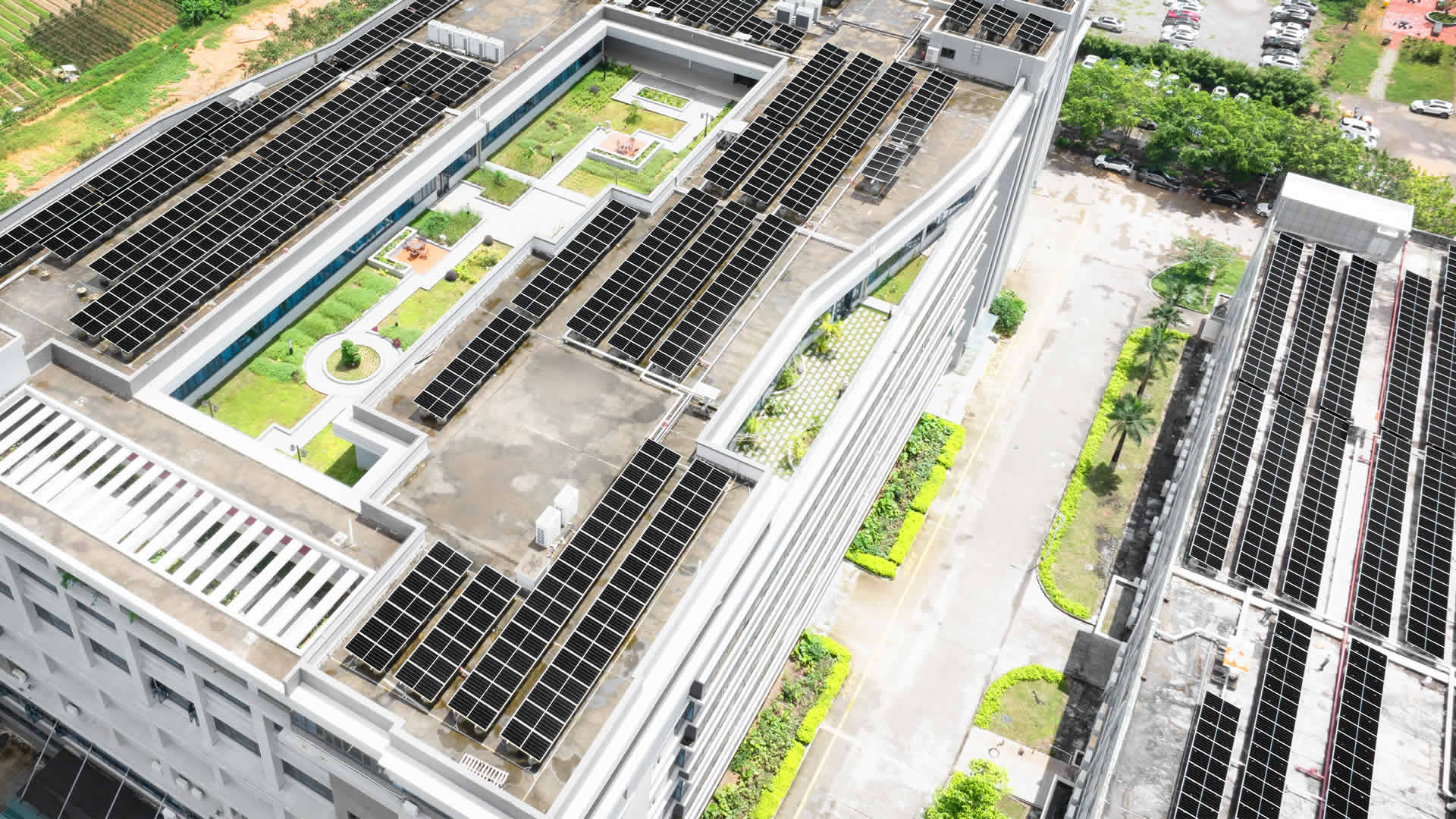 珠；诳萍及咐