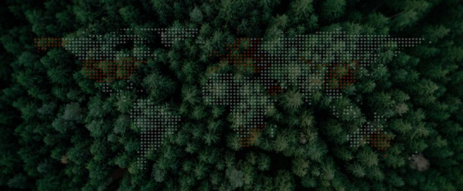 优德88全球零碳案例